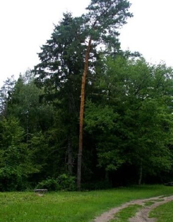 Anykščių regioninis parkas