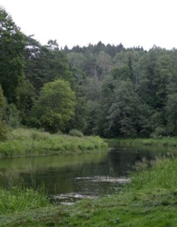Anykščių regioninis parkas