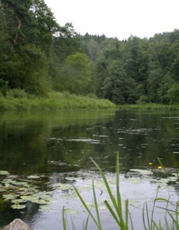Anykščių regioninis parkas