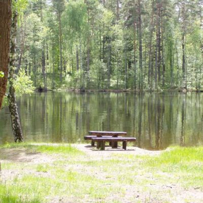 Asvejos regioninis parkas