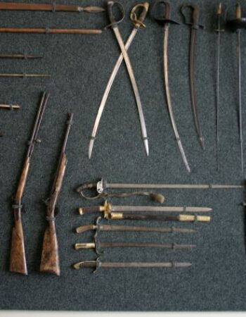 Chaimo Frenkelio vila