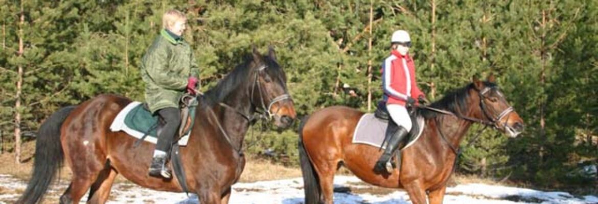 Jojimo paslaugų centras
UAB „Horsemarket“