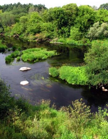 Krekenavos regioninis parkas