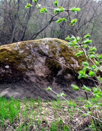 Krekenavos regioninis parkas