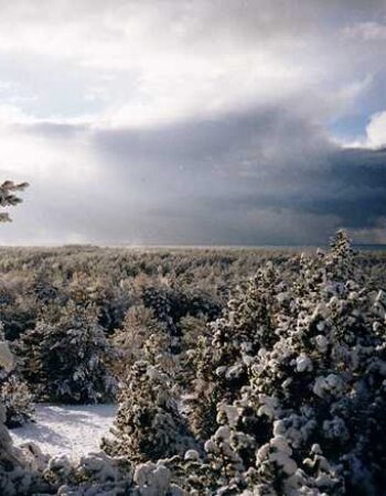 Kuršių Nerijos nacionalinis parkas.