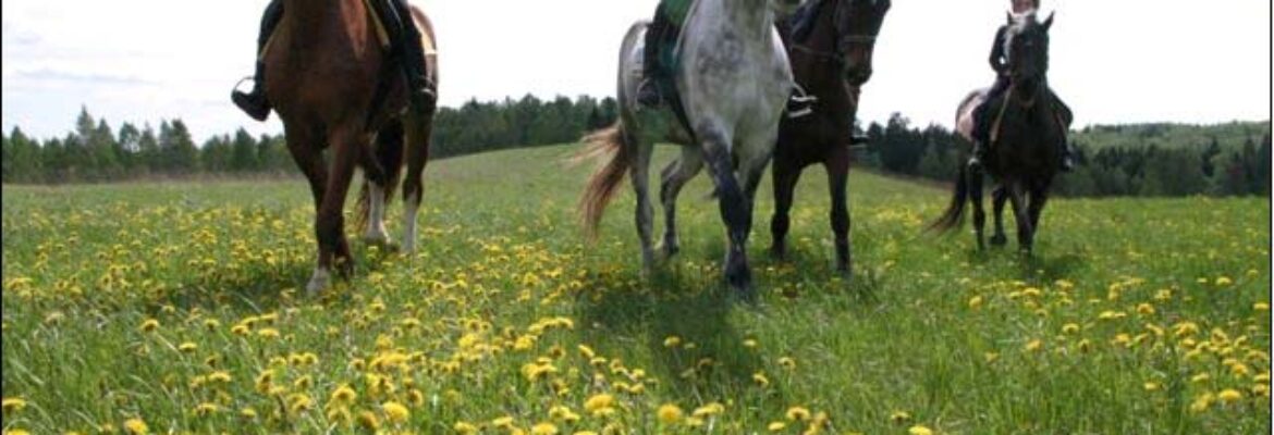 Kurtuvėnų jojimo centras