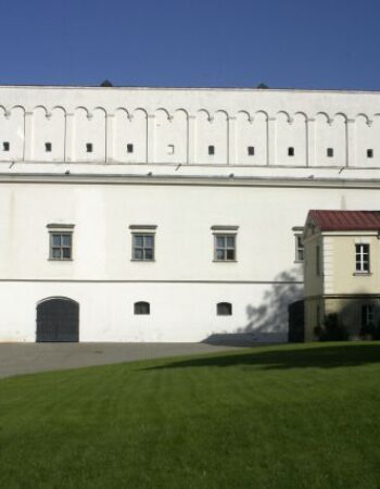 Lietuvos nacionalinis muziejus