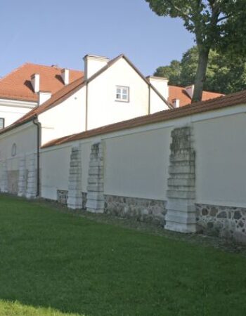 Lietuvos nacionalinis muziejus