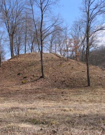 Neries regioninis parkas