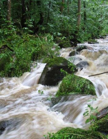 Neries regioninis parkas