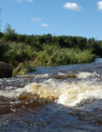 Salantų regioninis parkas
