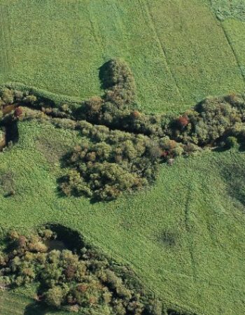Salantų regioninis parkas