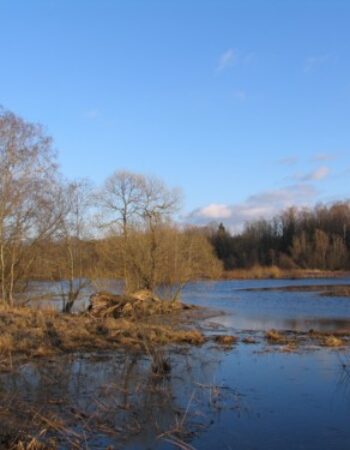 Ventos regioninis parkas