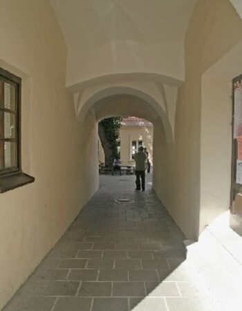 Vilniaus Universitetas