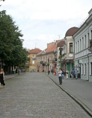 Vilniaus gatvė