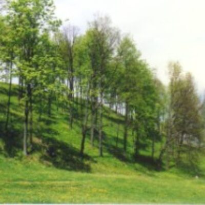 Vištyčio regioninis parkas