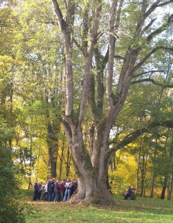Žemaitijos nacionalinis parkas
